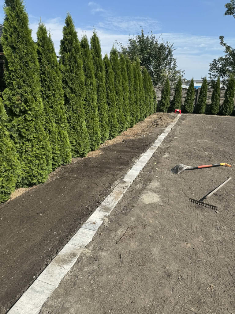 340fe2ad 09e1 41c9 af3a 473f033865a8