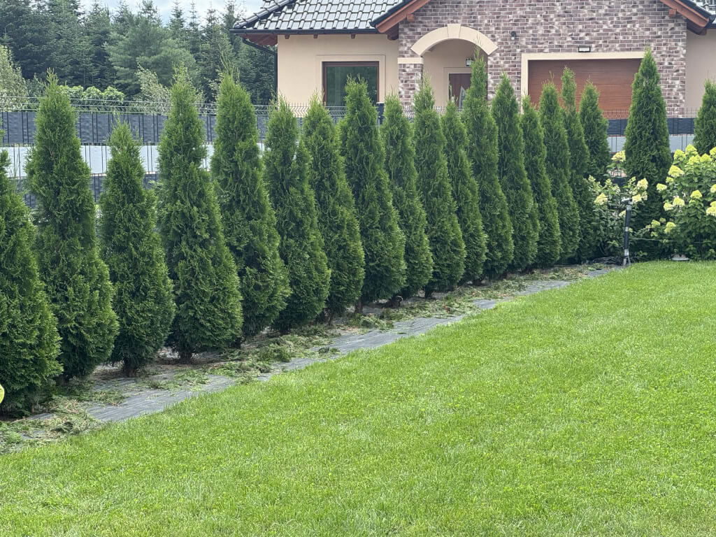 4884ce46 5257 46e9 9deb 83355d5191ba