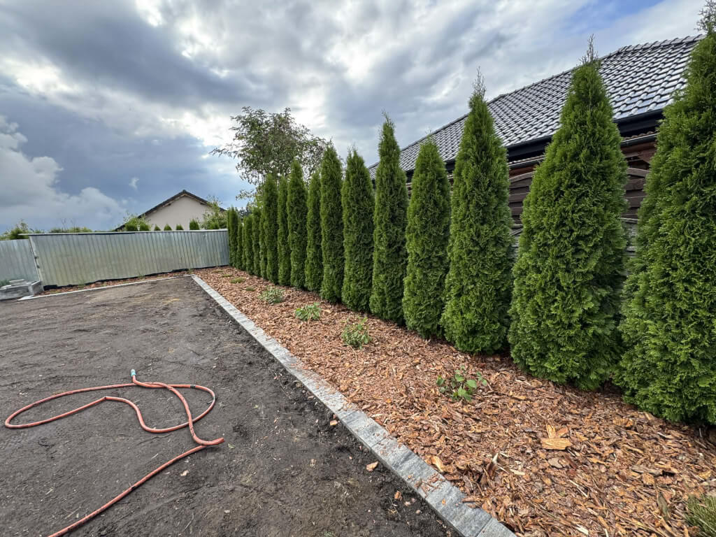 48f38222 0a4d 4453 b984 aa3767f837f2