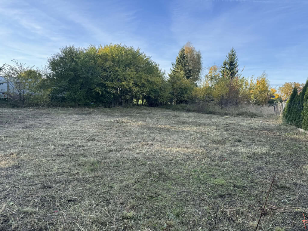 ed90bdb4 ff03 47e6 a856 2904b84e7789 (1)