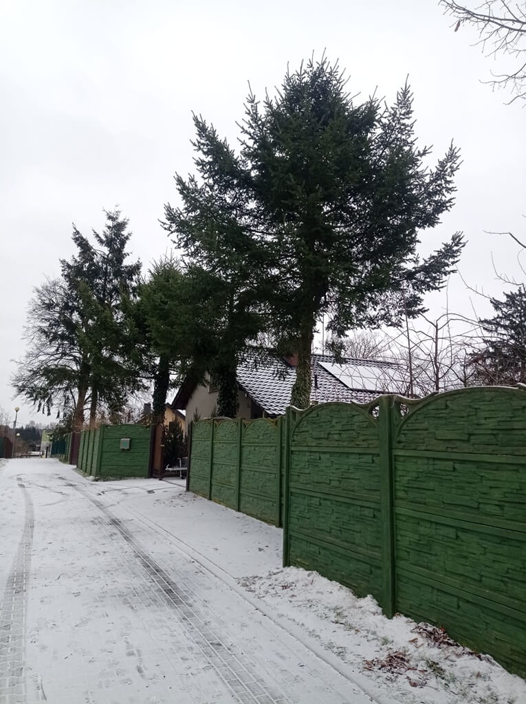 0ec2bdd7 130c 458e 823e a0a6fb208d98