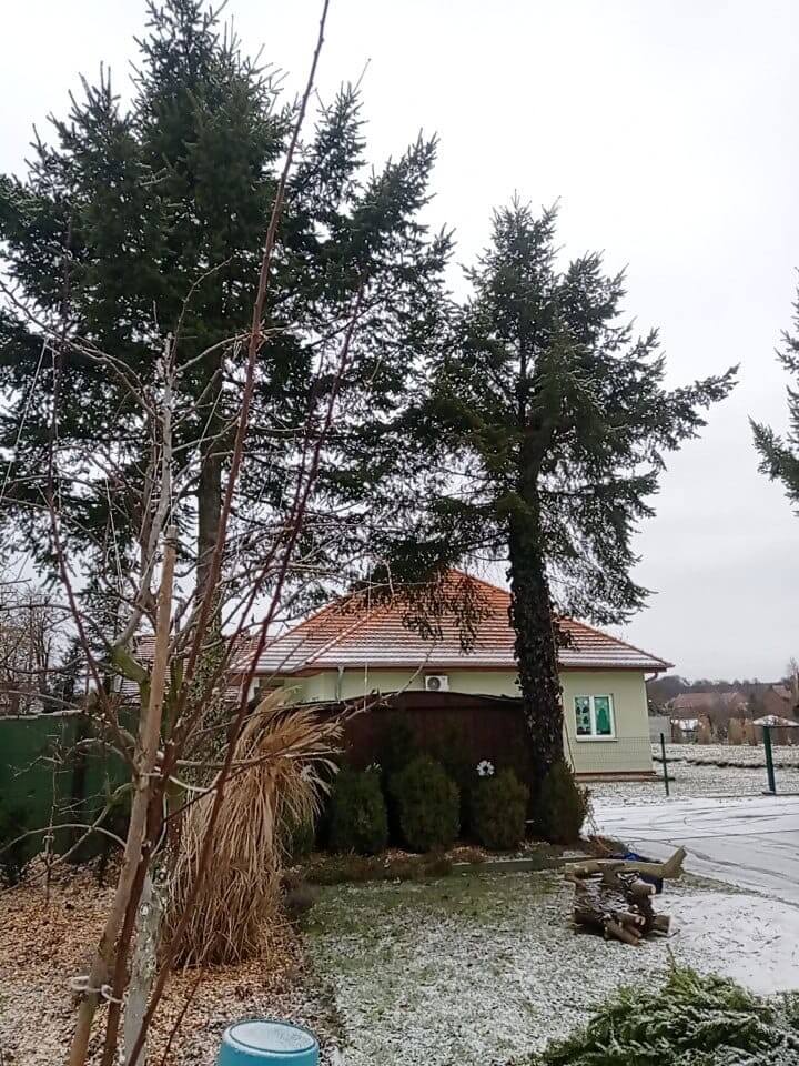 5d884c91 719f 4f29 9f25 78956343bb16