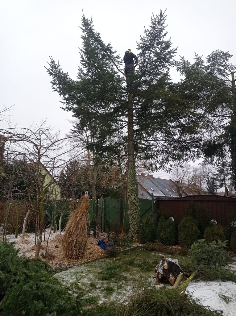 669743a9 1141 46be b29f da31583a5862